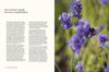 honey: recipes from a beekeeper's kitchen