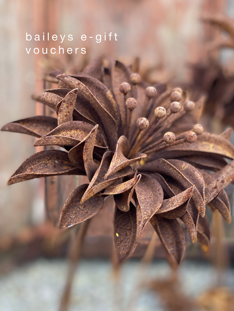 baileys e-gift vouchers