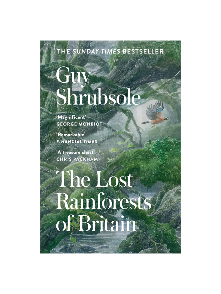 the lost rainforests of britain