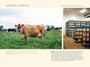a portrait of british cheese