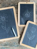 slate boards