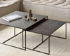nellie nesting coffee tables