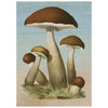 mushroom jigsaw puzzle