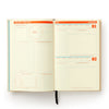 big plans daily planner