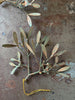 copper mistletoe sprig
