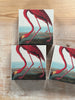 audubon match boxes