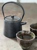 speckled cast iron teapot
