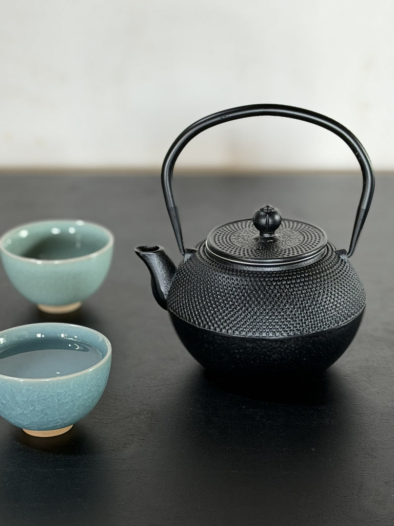 textured cast iron teapot