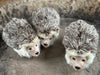 Three hedgehog toys arranged in a circle on a textured surface.