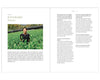 stories of japanese tea