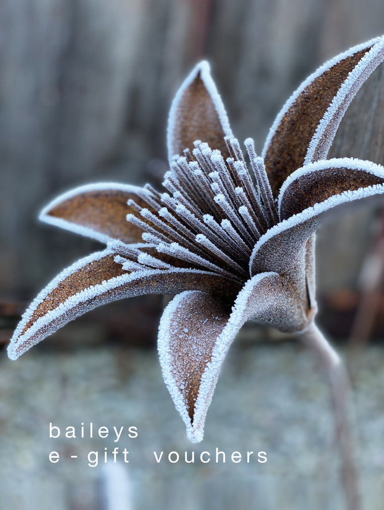 baileys e-gift vouchers