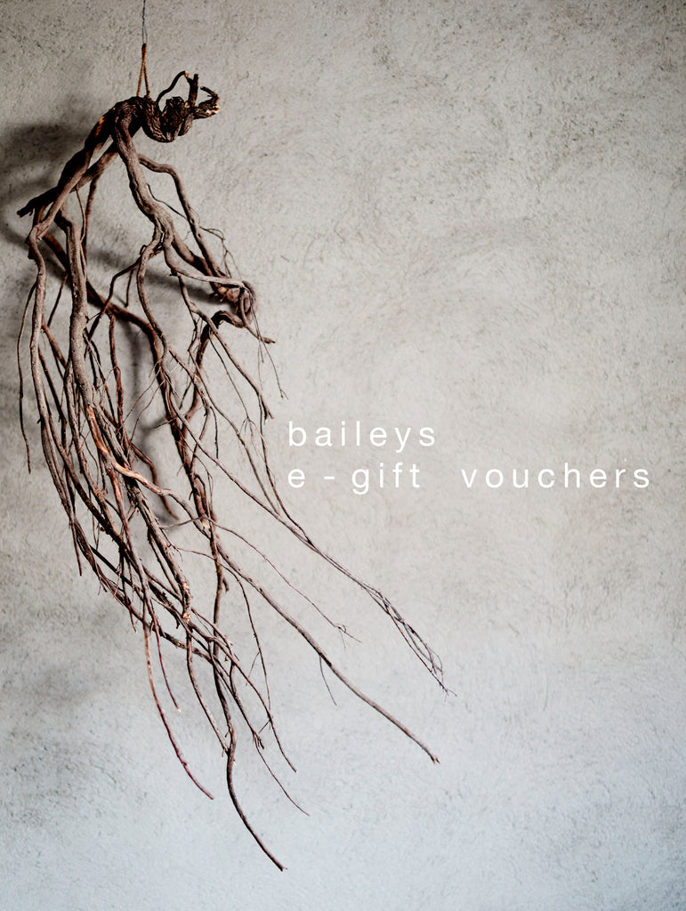 baileys e-gift vouchers