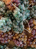 glass grapes