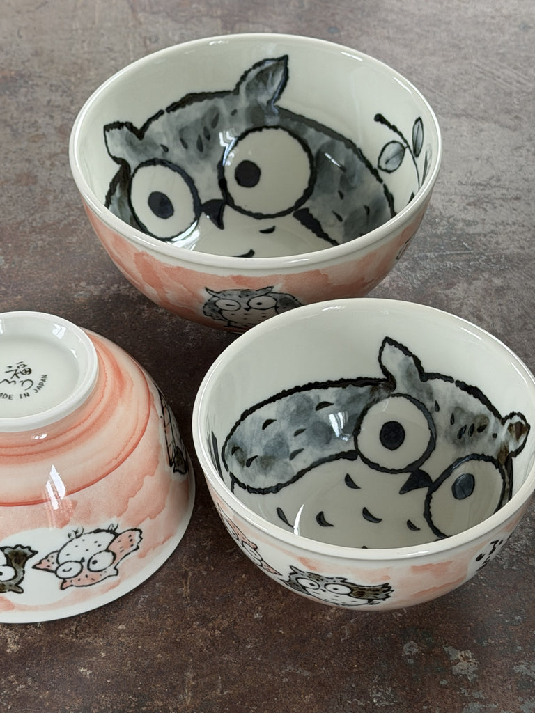 japanese kawaii owl bowl