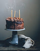 the nordic baker