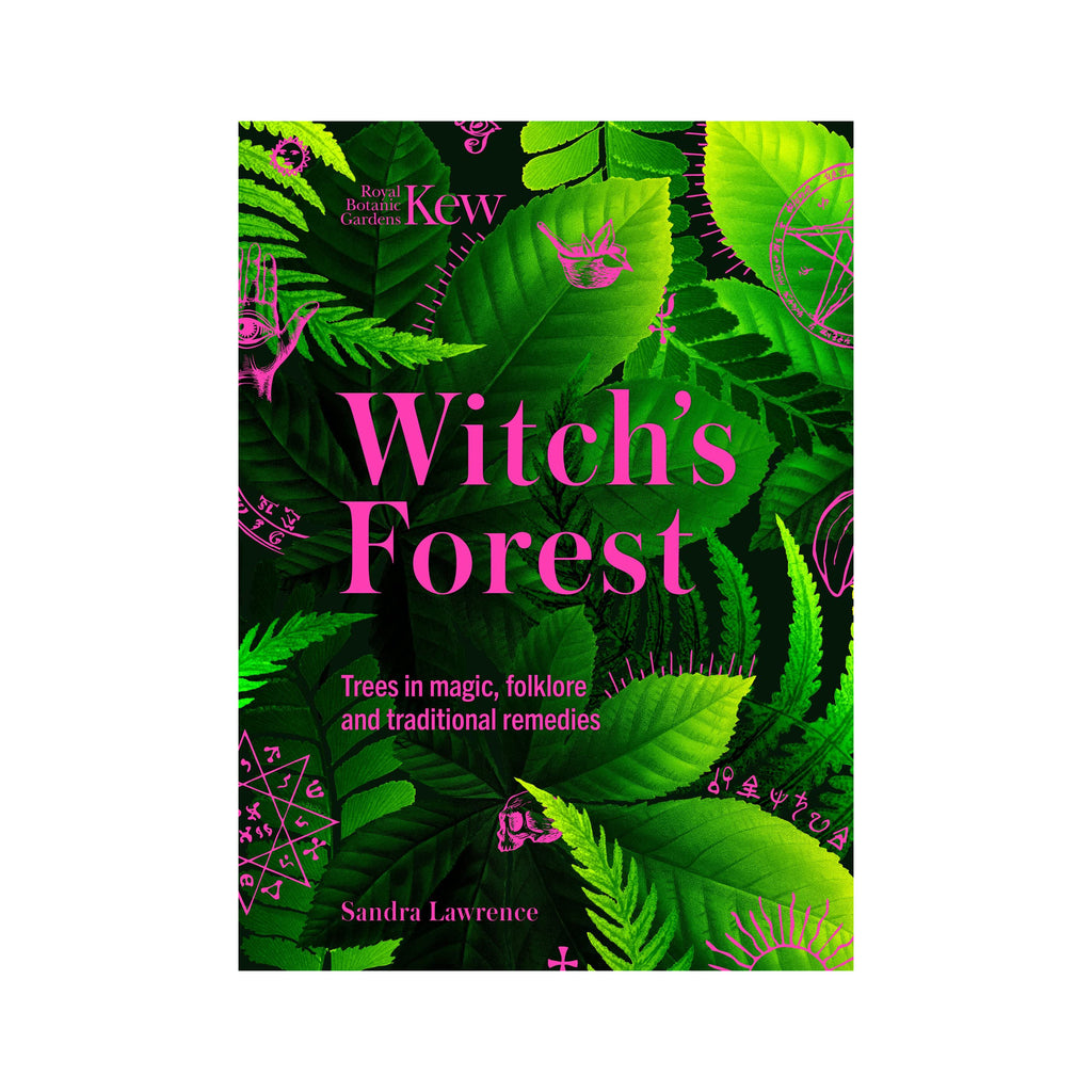 witch's forest