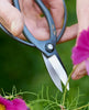 japanese garden scissors